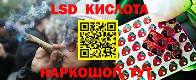 гидропоника Кумертау