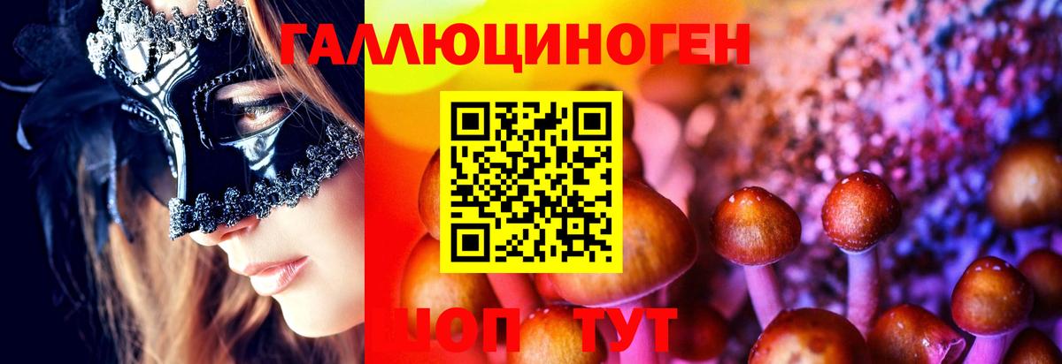 Великие Луки  Галлюциногенные грибы Psilocybe  Вход с VPN 